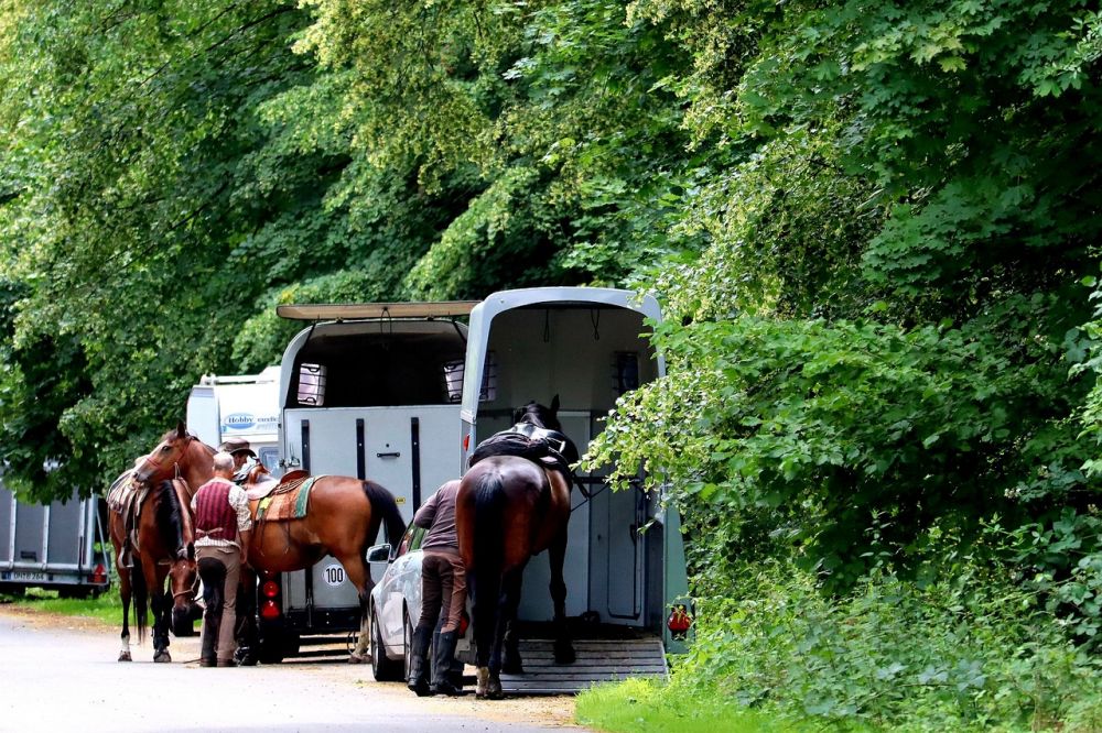 Eskadron: Kvalitet og stil for hest og rytter