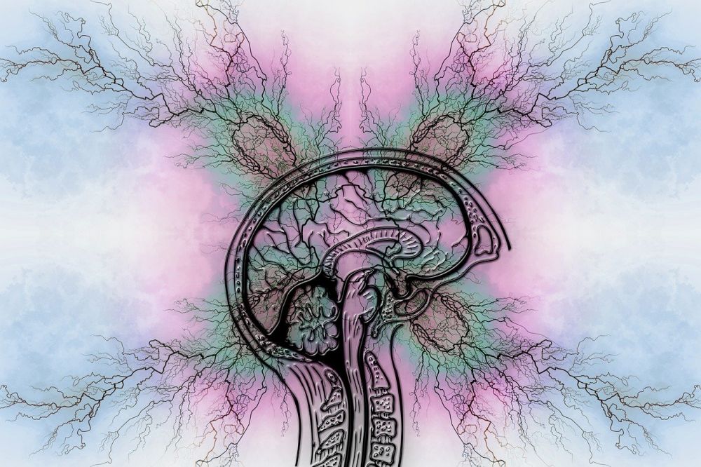 Add diagnose  når uoppmerksomhet styrer hverdagen